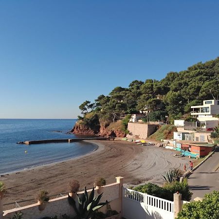 Loft Climatise "La Pinede", 50 M2, Tres Calme, 5 Mn A Pied Des Plages, Lit King Size La Seyne-sur-Mer Esterno foto