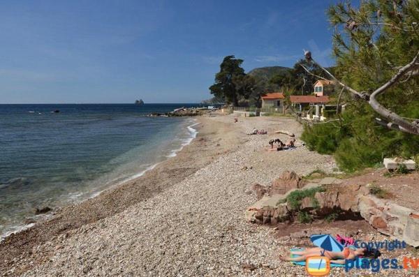 Loft Climatise "La Pinede", 50 M2, Tres Calme, 5 Mn A Pied Des Plages, Lit King Size La Seyne-sur-Mer Esterno foto